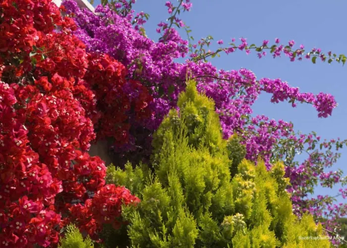 아파트 Sr300-012 Appt 2 Pieces Mezzanine 4 Personnes St Raphael Saint-Raphaël