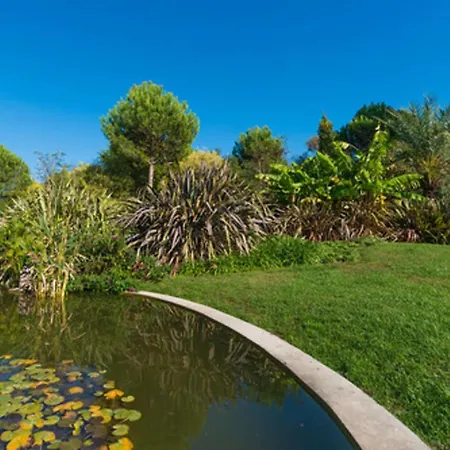 Sr300-012 Appt 2 Pieces Mezzanine 4 Personnes St Raphael