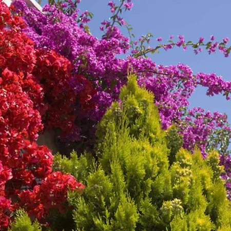 Apartment Sr300-012 Appt 2 Pieces Mezzanine 4 Personnes St Raphael Saint-Raphael (Var)